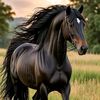 sofyan.sidra