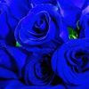 vivianarendon21