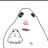 bibiriris