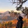 n__syafiqah77