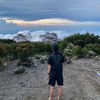 andalas019