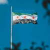 syria..1144