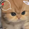 tyanh333