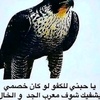 a_alshammari1666