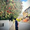 santoshbasnet459