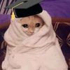 menna295161