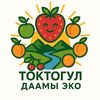 toktogul_daamy