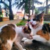 hashsidgskzb