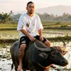 prast_2481