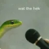 snake.ztt