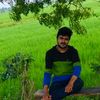 sahandilhar1