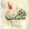 mojtaba.haider