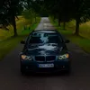 grisjavel1