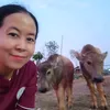 wassanawanta