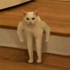 meow.tot