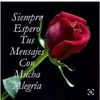 lunasuazo9