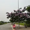 hoahoa20034
