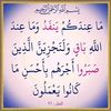 sumayyamustafa01