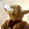 yodasblunt