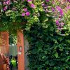 Gardenbyme