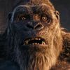 the monkey [infoLuas]