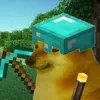 usuario50020203