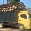 suryaagus91