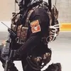 thekingsguard2