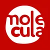moleculabubbletea