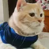 amani_9495