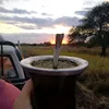 butysta800_
