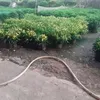 tinhletinh95