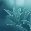 flow_15.flow3