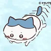 nyatt0o0