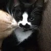kgrdar
