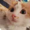 bol_kuatbek77