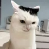 gspotttttttt