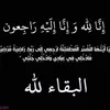 user7194265773557