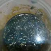 balsemlang00