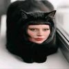 this_kitten_over_here