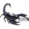 scorpionscorpion.0