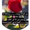 user4925427050726