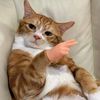 smol_benny