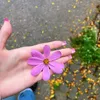 farfoosh