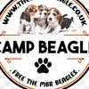 jothebeaglefan