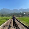 Arien