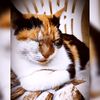 ramona.r_