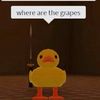 starduckie18