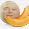 mango_dj1