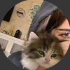 nony_282